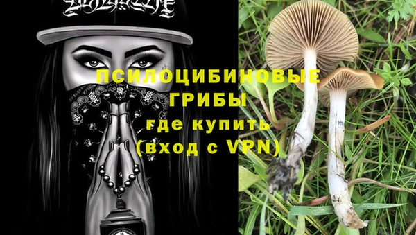 ALPHA PVP Армянск