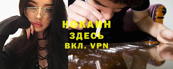 амф Горняк