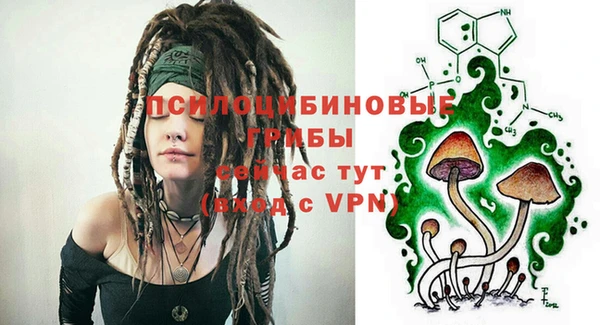 дживик Аркадак